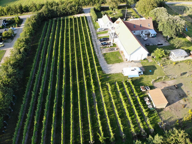 Luftfoto af Agerbo Vingaard og vinmarken